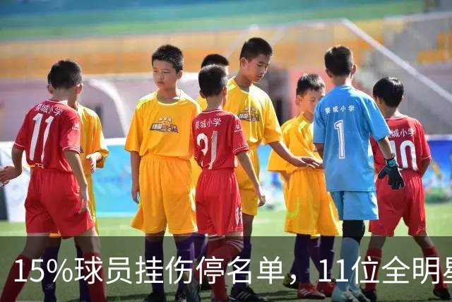 15%球员挂伤停名单，11位全明星已倒下